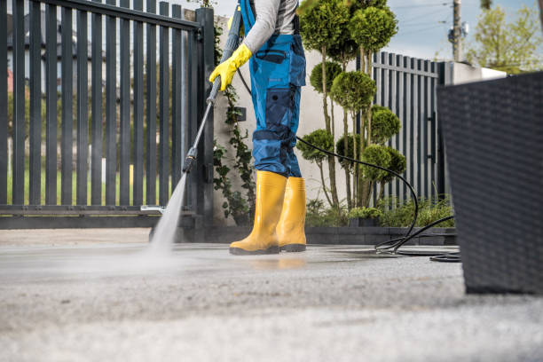 Best Roof Pressure Washing  in White Oak, MD